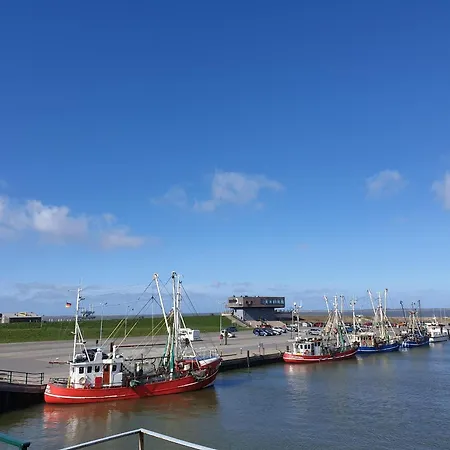 Ferienhaus-seemoewennest * Dornumersiel